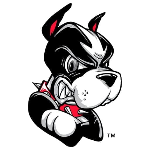 Boston University Terriers Hockey