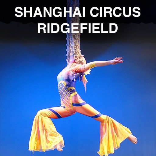 New Shanghai Circus