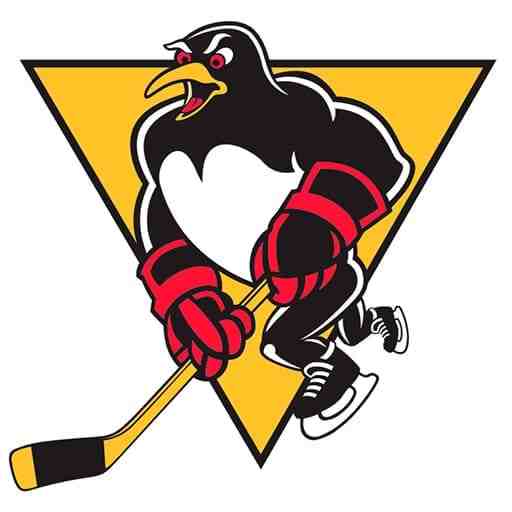 Wilkes-Barre Scranton Penguins