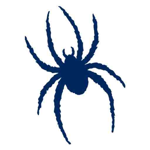 Richmond Spiders Women's Basketball